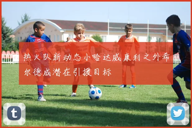 热火队新动态小哈达威康利之外希尔德成潜在引援目标
