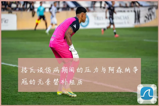 格瓦谈伤病期间的压力与阿森纳争冠的无奈替补经历